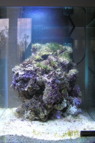 Nano Cube